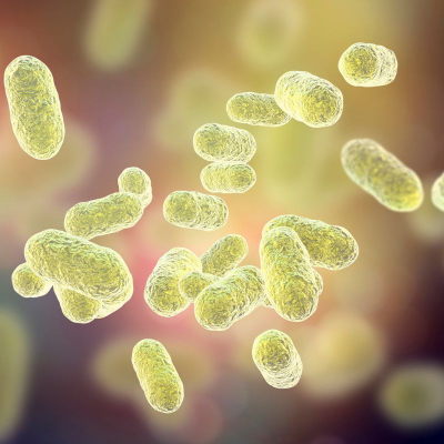 microbiota